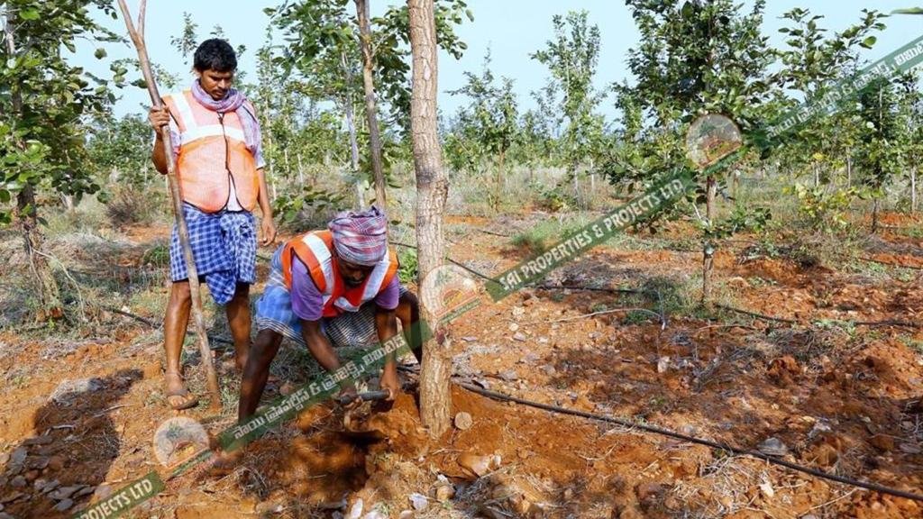 RED SANDIL PROJECT IN SAI PROPERTIES & PROJECTS