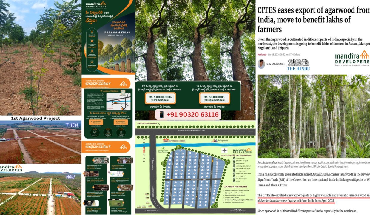 Farm Land For Sale In Vinukonda