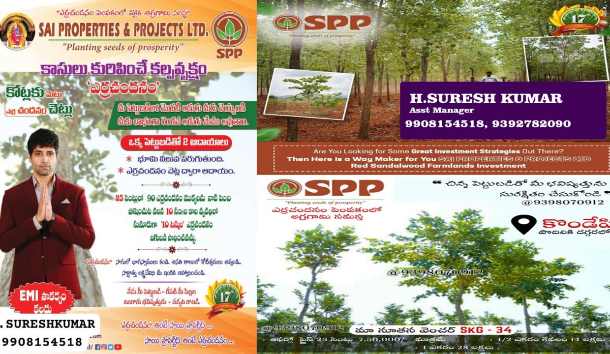 RED SANDIL PROJECT IN SAI PROPERTIES & PROJECTS