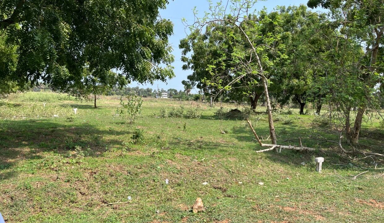FLAT FOR SALE IN BORRAIHGUDEM KOTHURU ROAD ELURU