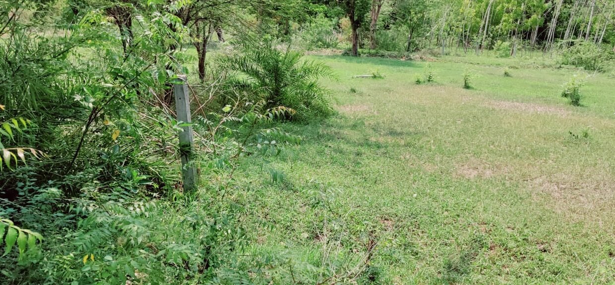 SITE FOR SALE IN SOMAVARAPADU