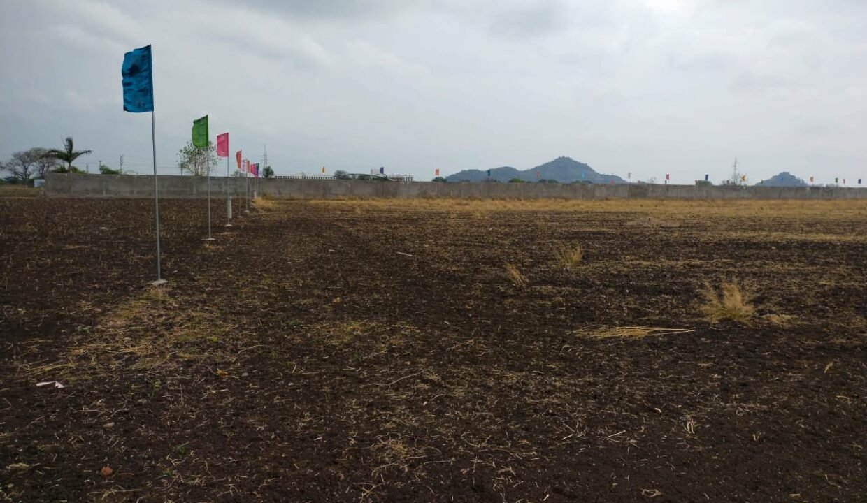 OPEN PLOTS FOR SALE IN AMARAVATHI ROAD,GUNTUR