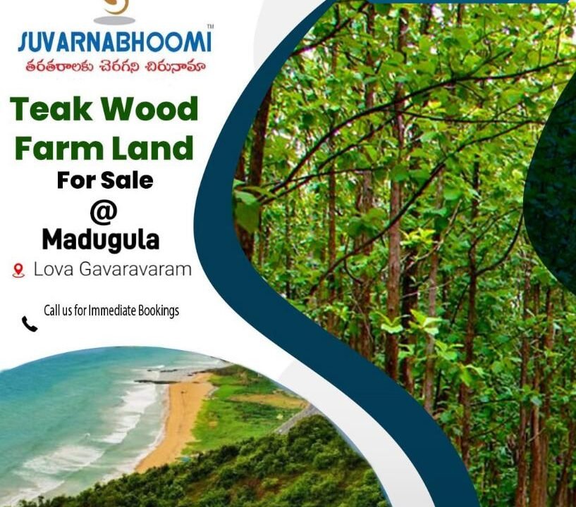 Teak Wood Farm Land For Sale in Madugula Lova Gavaravaram