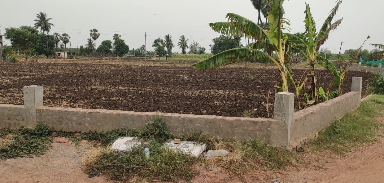 Plots for sale in Chalivendrapalem