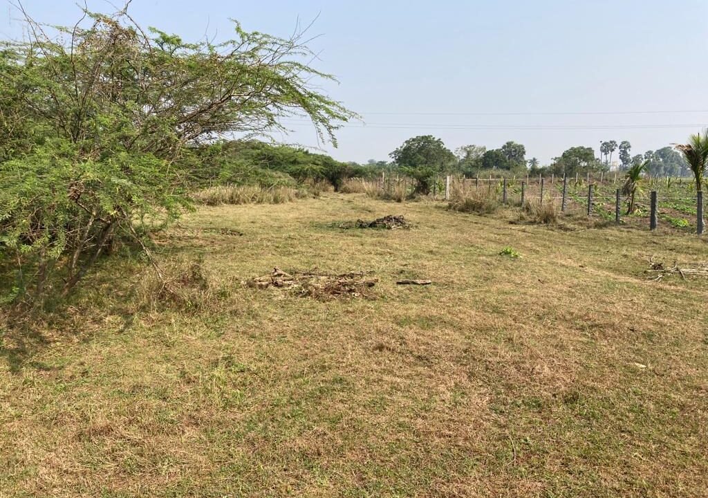 Site For sale in Eluru (Somavarapadu) 1250 Sq Yards
