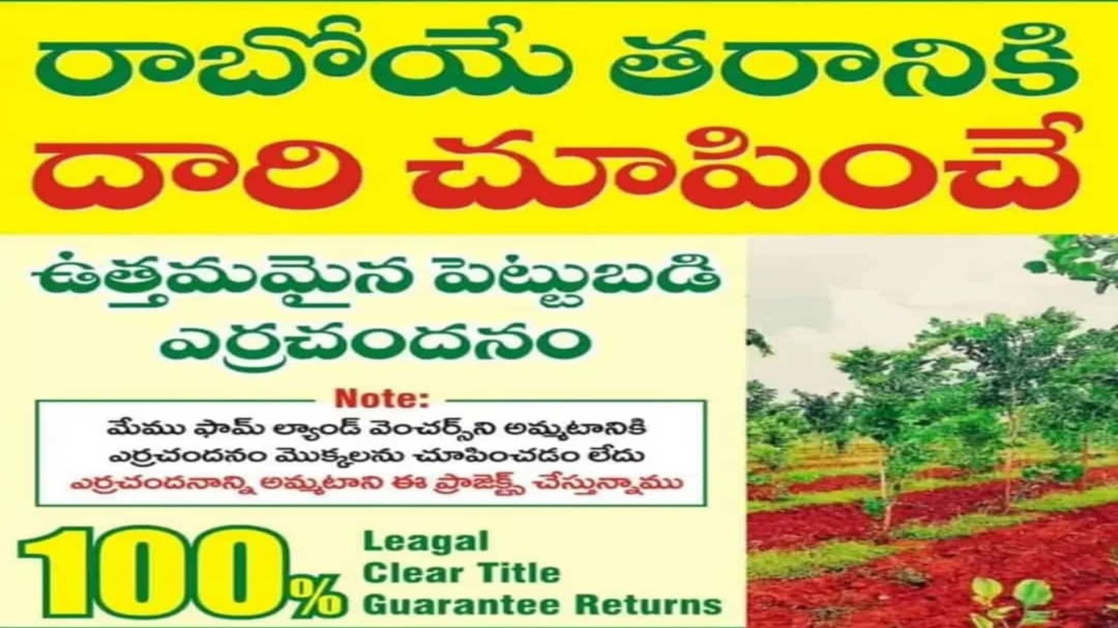 Red Sandal Plantation Sites In Sale In Gold Star Junction Kothavalasa