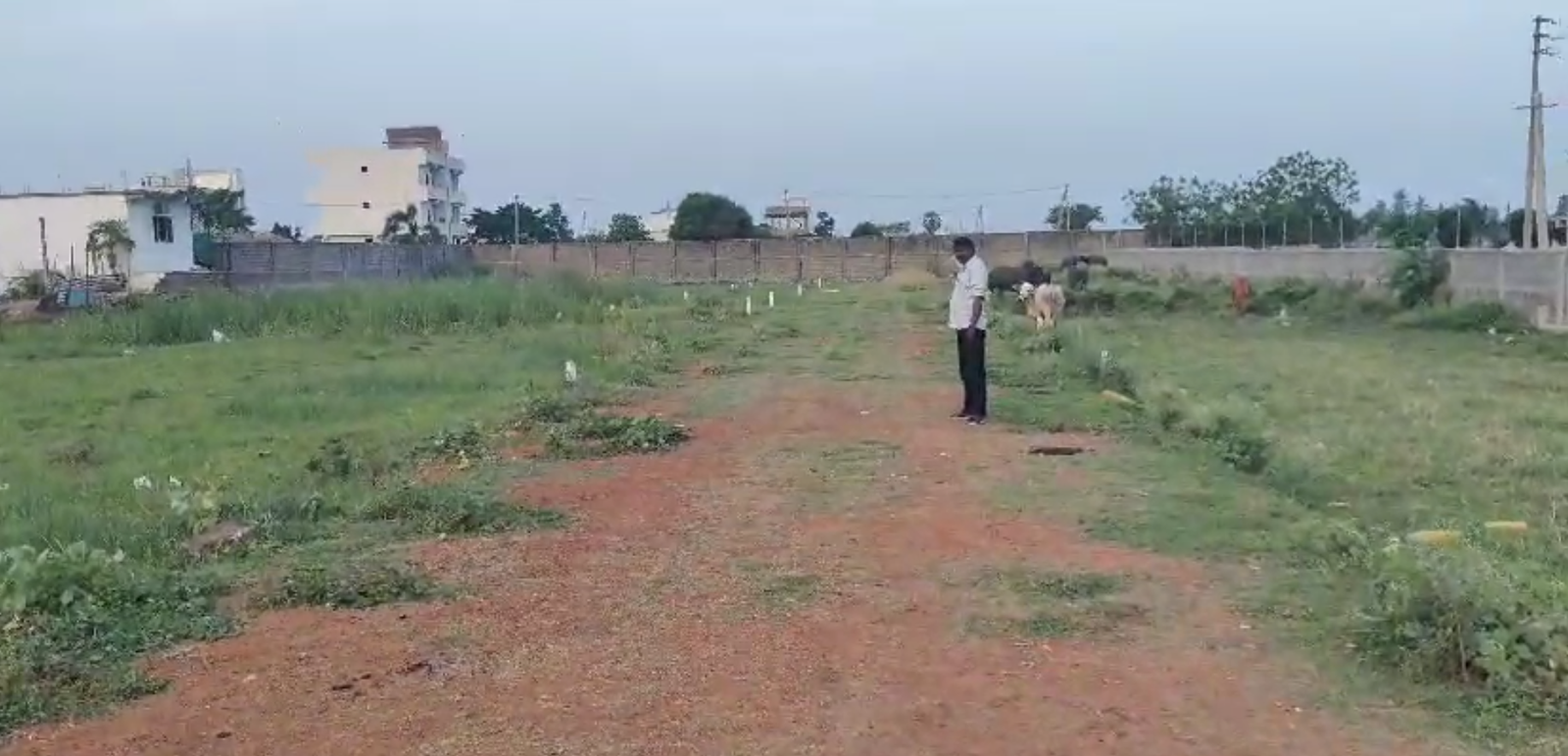 Flats for Sale in Eluru – Ponangi Road (D.T.C.P) Layout